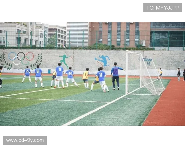 开学后足球梦想：在绿茵场上挥洒汗水与激情开启全新挑战