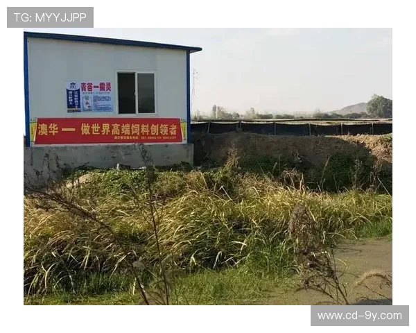 汉川足球队迎战潜江强队赛事直播全程精彩呈现 汉川足球队迎战潜江强队赛事直播全程精彩呈现