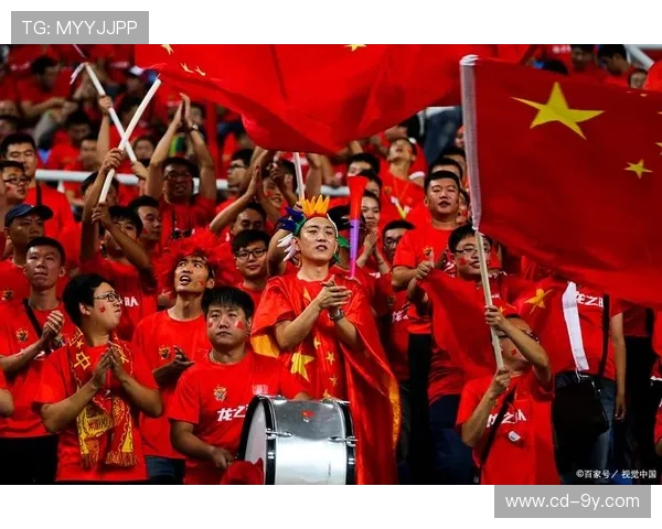 足球赛事精彩瞬间观众视角素材免费下载高清视频与图片资源